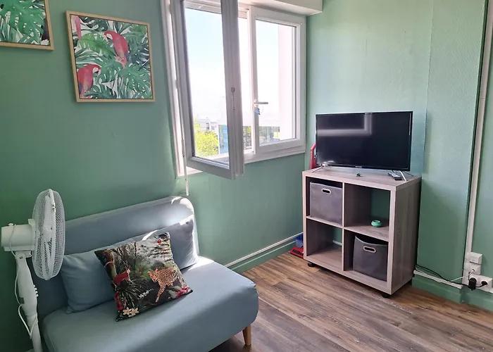 Les Perroquets Appartement